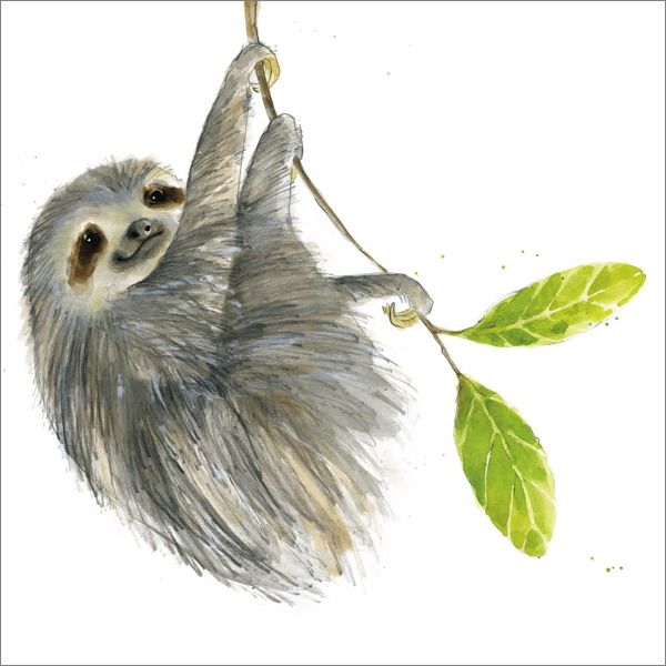 Card-Sloth