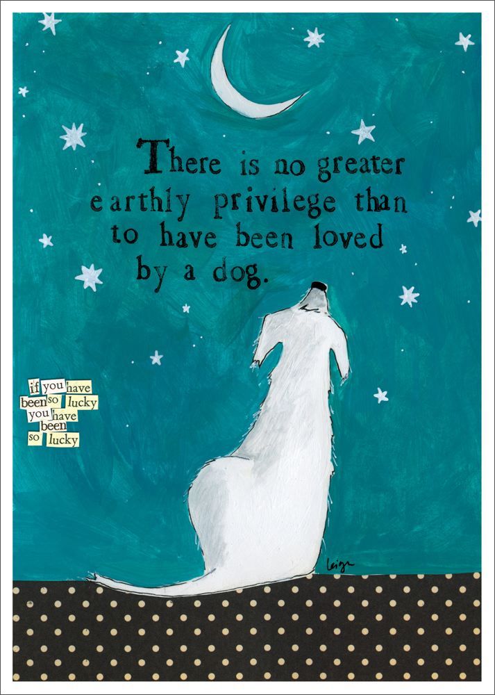 Card-Loved By A Dog