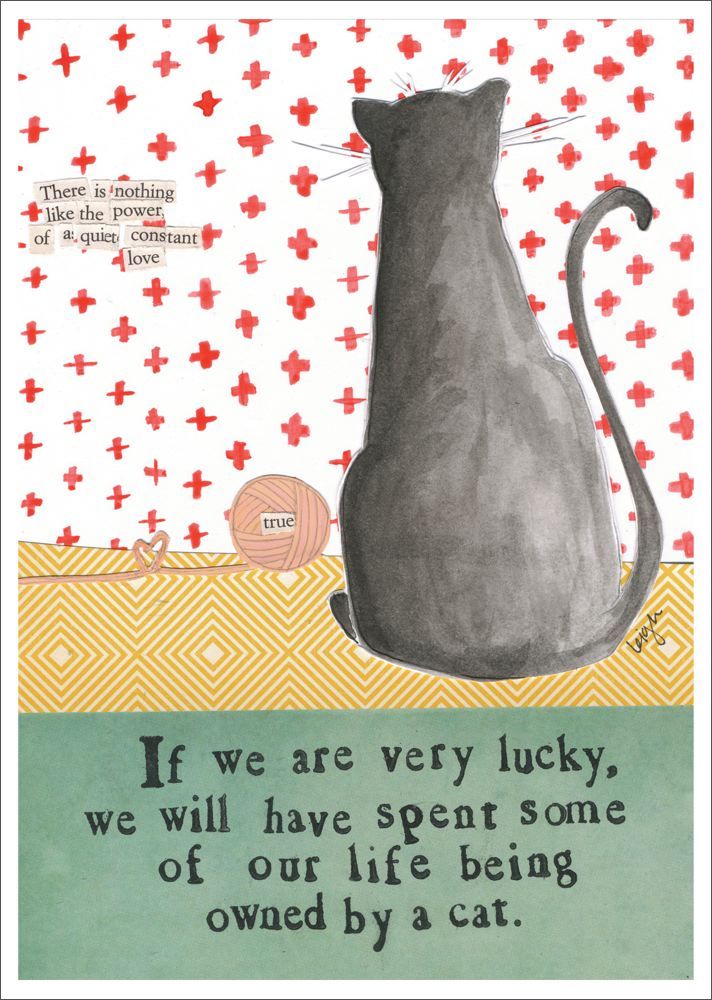 Card-Owned By A Cat