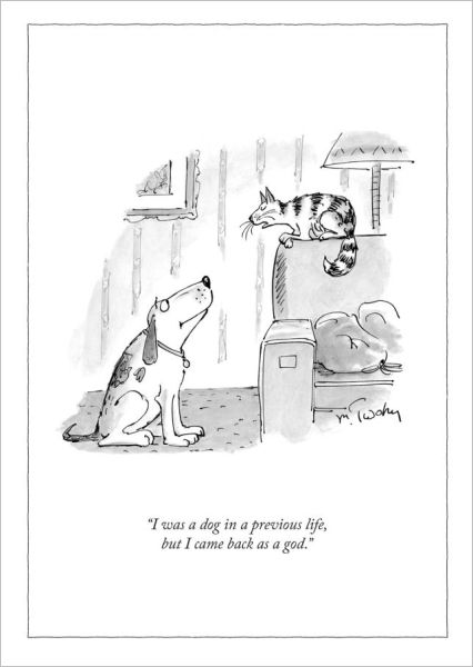 Card-Dog in Previous Life 