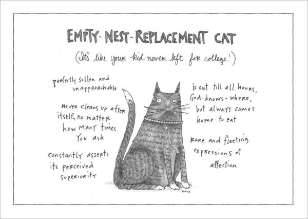 Card-Replacement Cat