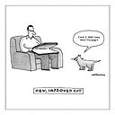 Flex Magnet-New, Improved Cat