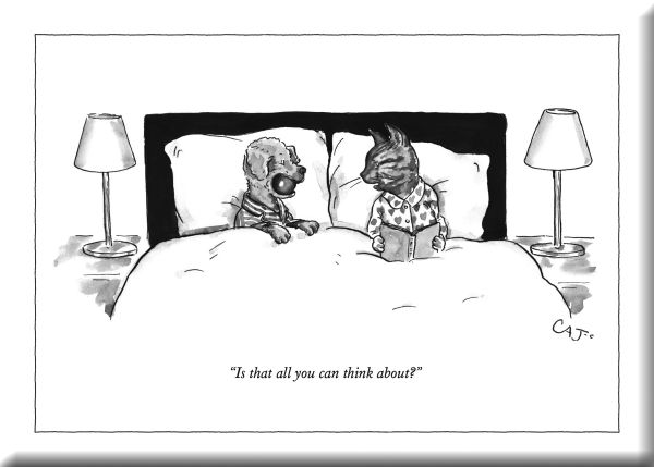 Hard Magnet-All You Can Think About