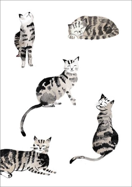 Card-Tabby's