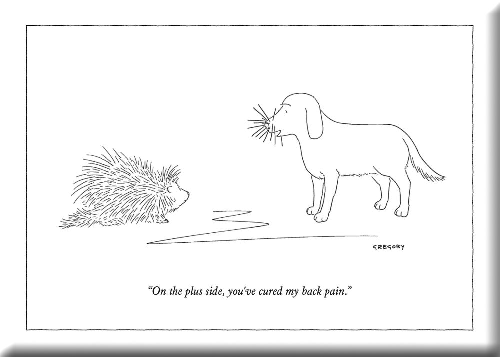 Hard Magnet-Back Pain