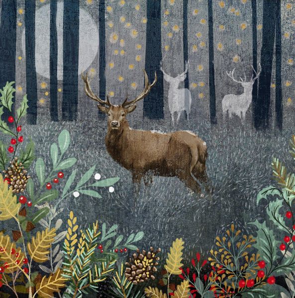 Card Pack of 6-Forest Sparkle