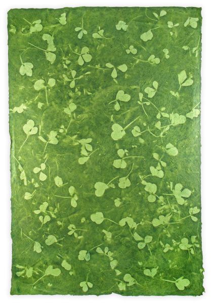 Wrap-Leaves On Green