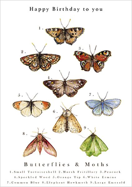 Card-Butterfly Chart