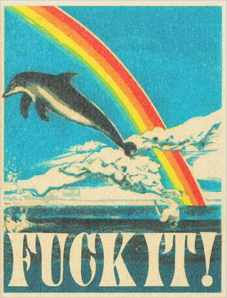 Card-Dolphin