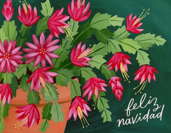 Card-Christmas Cactus 