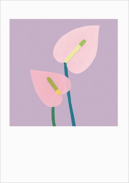 Card-Anthurium