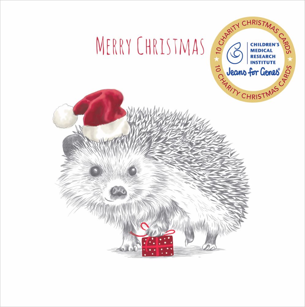 Christmas Card Wallet-CMRI-Hedgehog Present