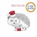 Christmas Card Wallet-CMRI-Hedgehog Present
