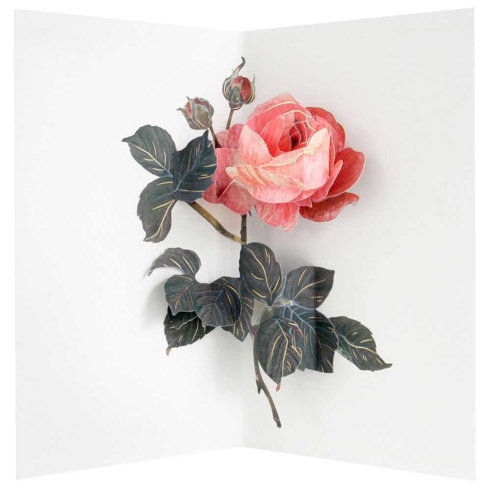 3D Pop-up Card-Rose