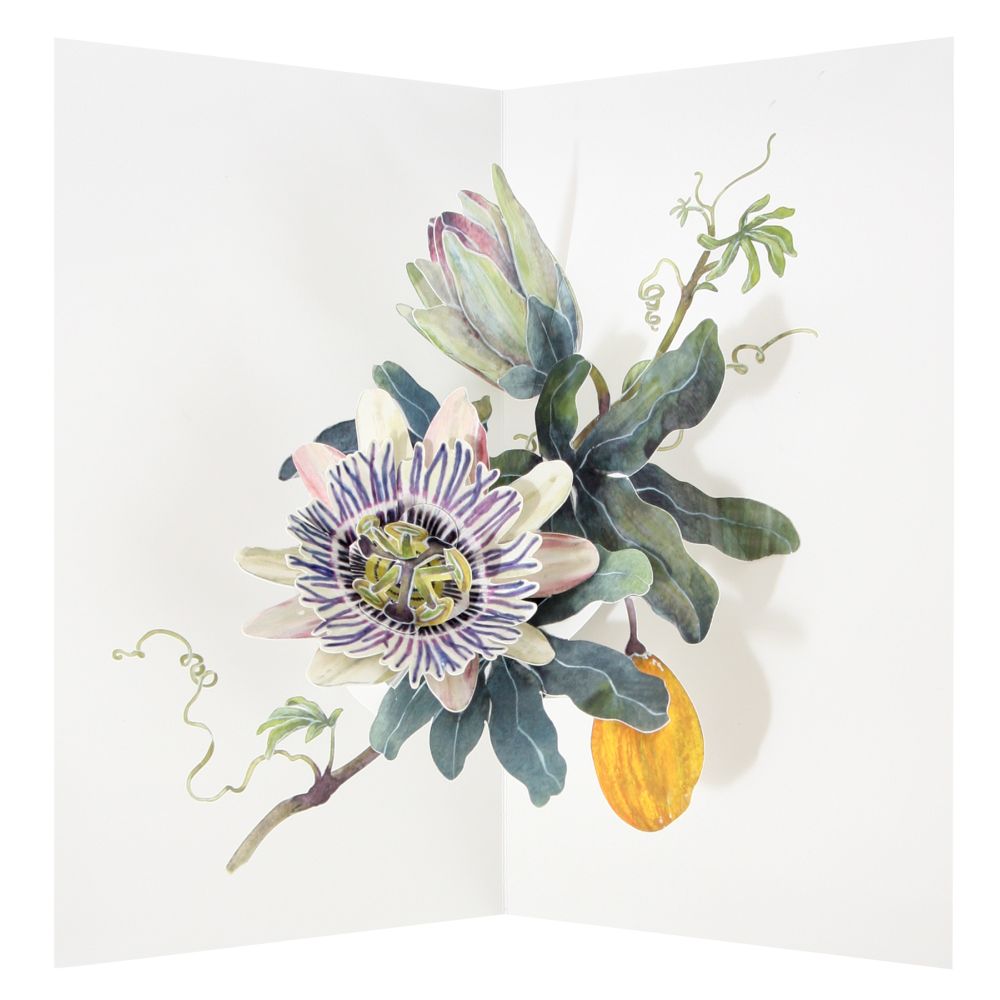 3D Pop-up Card-Passion Vine