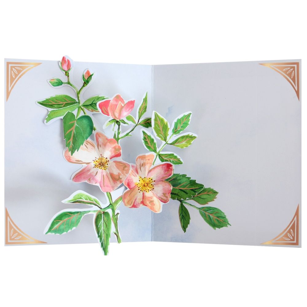 3D Pop-up Card-Seed Packet