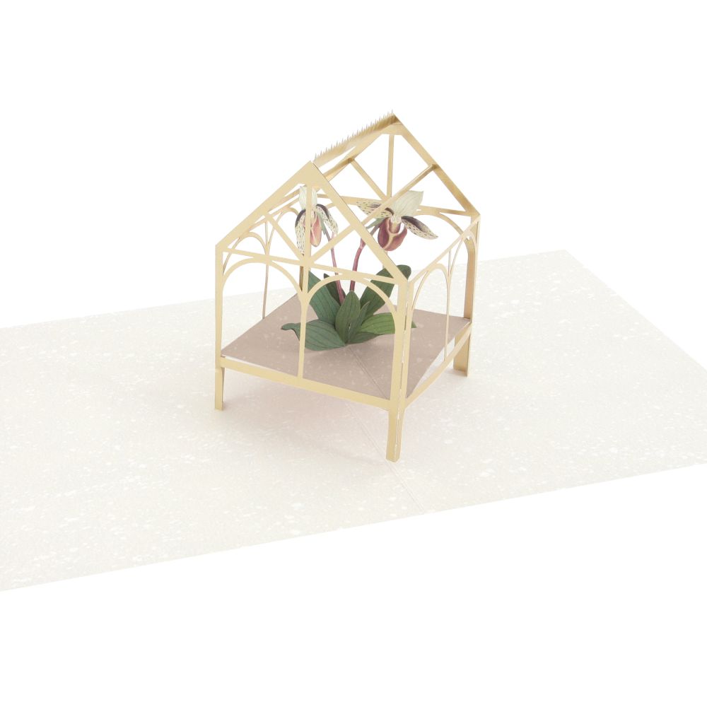 3D Pop-up Card-Orchid