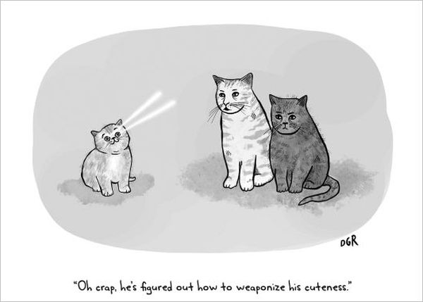 Card-Cuteness