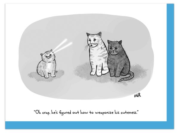 Card-Cuteness