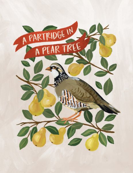 Card-Partridge In A Pear Tree 