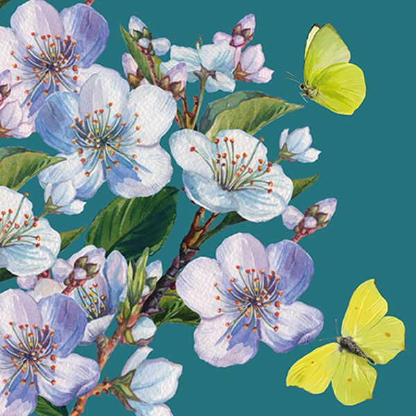 Card-Butterflies and Blossom