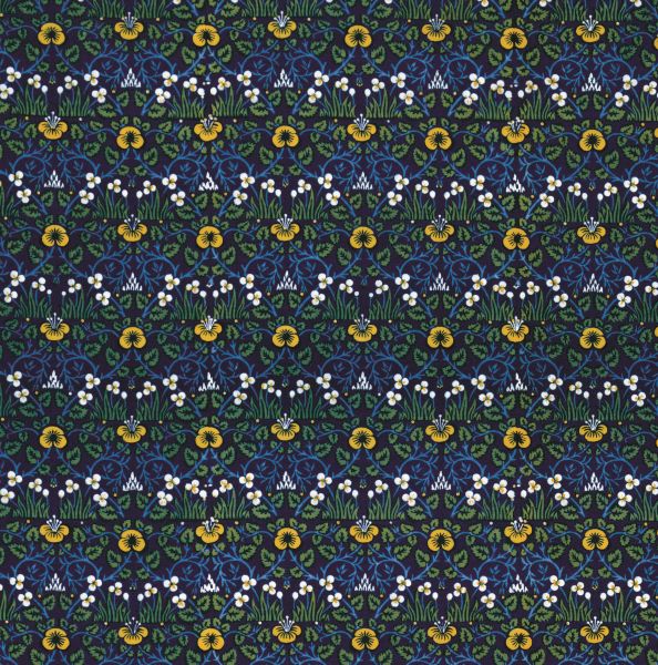 Card-Eyebright
