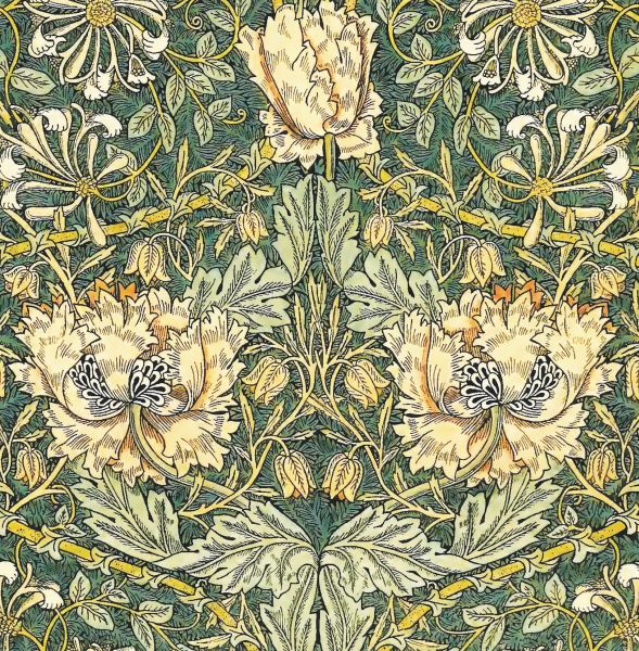 Card-Honeysuckle