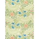 Wrap-Larkspur