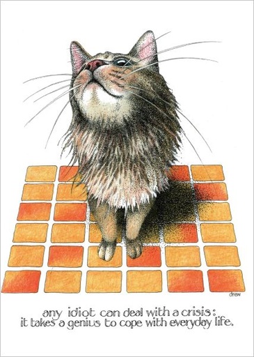 [SI-C-064] Card-Crisis