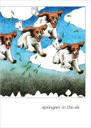 [SI-C-071] Card-Springers In The Air