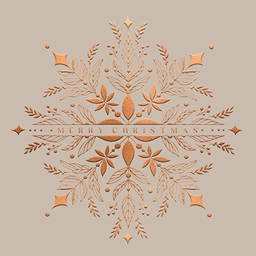 [AL-XC-GXRIIG311] Card-Christmas Star