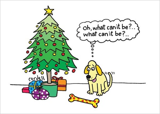 [NL-XC-AX004] Card-What Can it Be