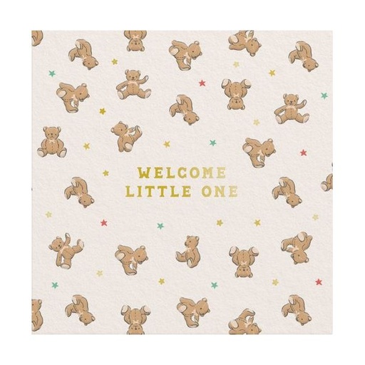 [CK-MC-14289] Mini Foil Card-New Baby Bear