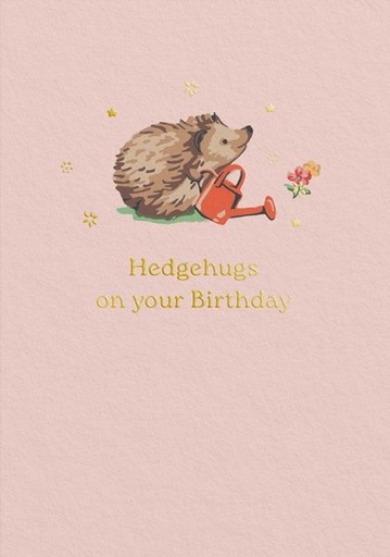 [CK-C-14407] Cath Kidston Foil Card-Hedgehugs Birthday