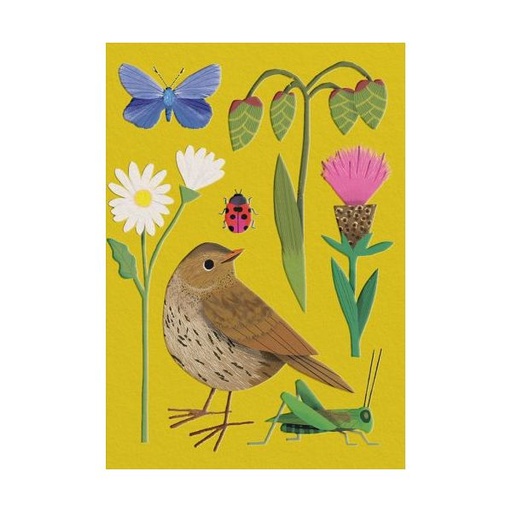 [OD-MC-NDL14360] Mini Card-Meadowland