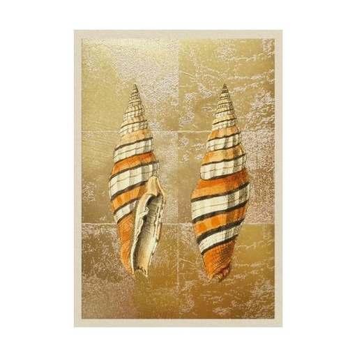 [OD-MC-OD14372] Mini Card-Shells