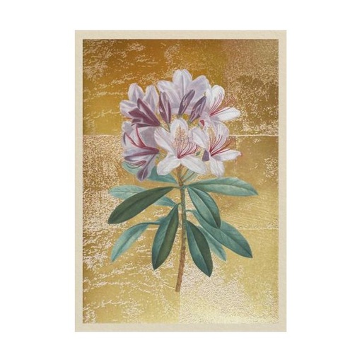 [OD-MC-OD14373] Mini Card-Rhododendron