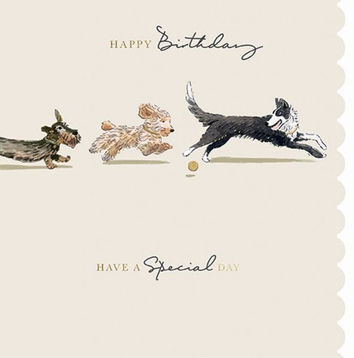 [GB-C-SA1891] Foil Card-Special Day Dogs
