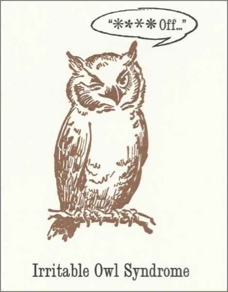 [AV-C-QP259] Card-Irritable Owl Syndrome