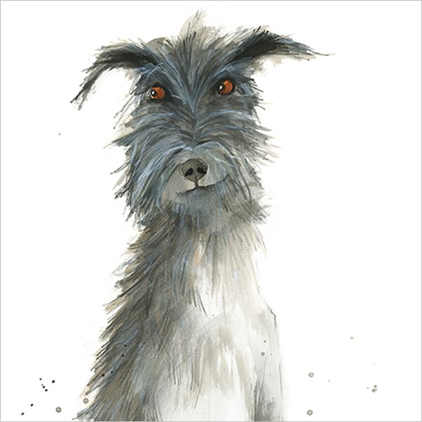 [AL-AM0095] Card-Wolfhound