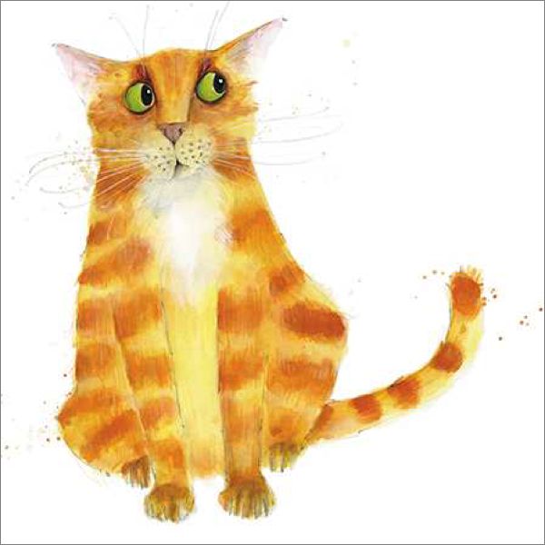 [AL-AM0096] Card-Ginger Cat