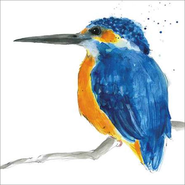 [AL-AM0097] Card-Kingfisher