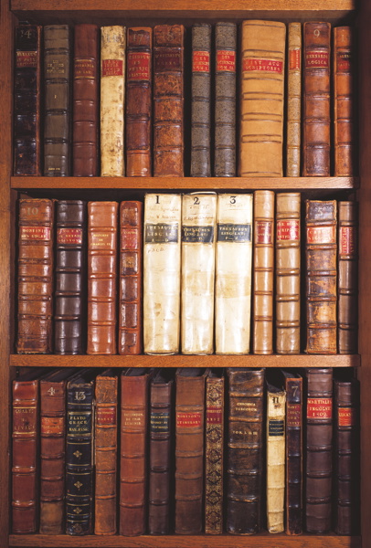 [BL-W-ST479] Wrap-Books Arts End