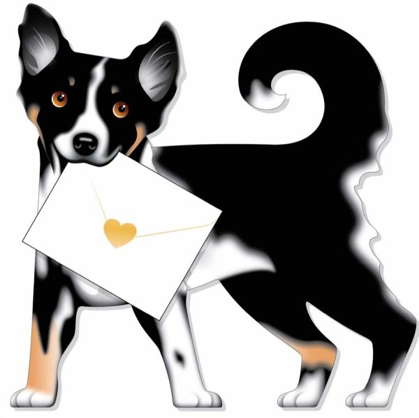 [SD-DG152] 3D Card-Dog-Collie