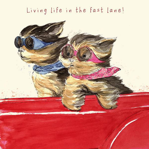 [AM-AT2214] Card-The Fast Lane