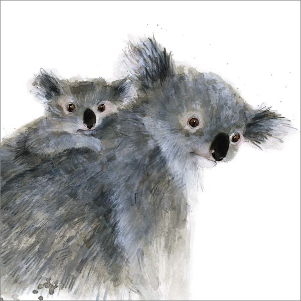 [AL-AM0104] Card-Koalas