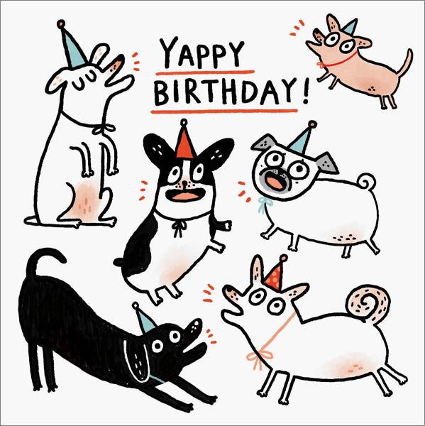 [OD-C-GE4904-SQ] Card-Yappy Birthday