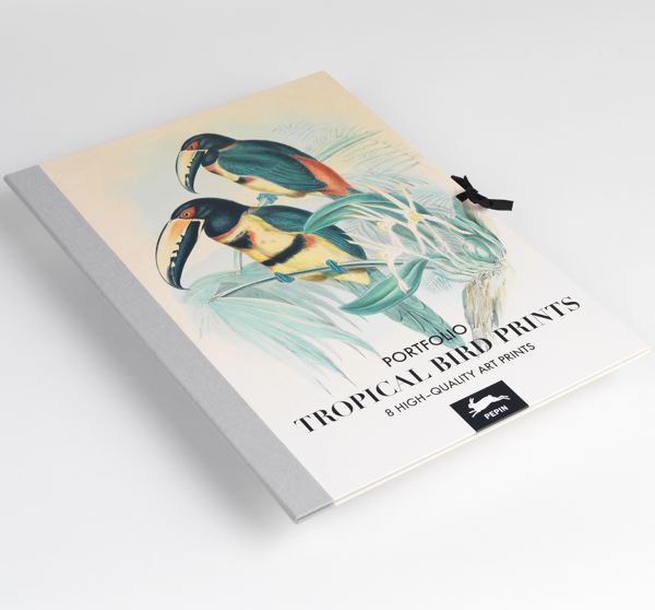 [PP-LP-AP003] Art Portfolios-Tropical Birds