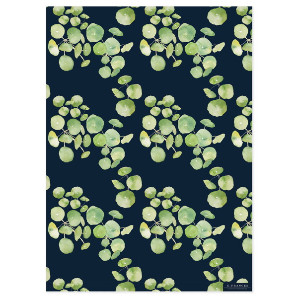 [EF-W-101] Wrap-Pancake Plants Navy