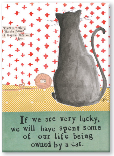 [CG-LMA-001] Magnet-Owned by a Cat